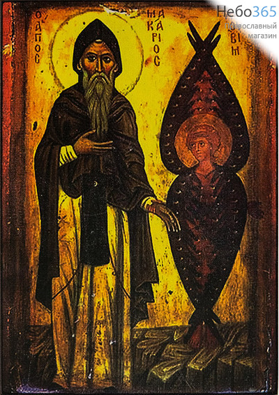  Икона на дереве 15х18,15х21, полиграфия, копии старинных и современных икон Макарий Великий, фото 1 