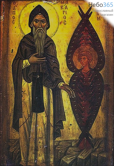  Икона на дереве 10-12х17, полиграфия, копии старинных и современных икон Макарий Великий, преподобный, фото 1 