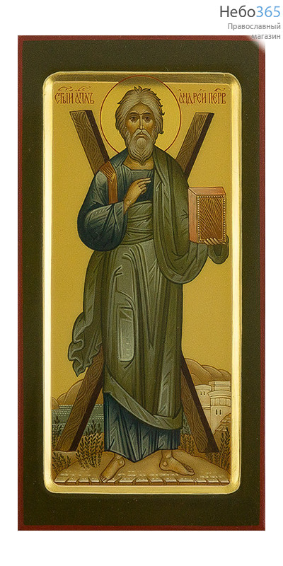  Андрей Первозванный, апостол. Икона писаная 13х25х2 см, цветной  фон, золотой нимб, с ковчегом (Гл), фото 1 