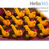  Сувенир пасхальный набор Цыплята в корзинке, синтетические, в ассортименте вид №14  Петух и 1 яйцо, фото 1 