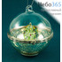  Сувенир рождественский в ассортименте, светящийся, с открывающейся крышкой, высотой 8,5 см №1 Сувенир "Елочка в стекляном шаре", фото 1 