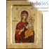  Икона на дереве, 14х18 см, ручное золочение, с ковчегом (B 2) (Нпл) икона Божией Матери Одигитрия (3151), фото 1 