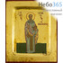  Икона на дереве 11х13 см, основа МДФ, ручное золочение, с ковчегом (BOSN) (Нпл) Игнатий Богоносец, Антиохийский, священномученик, епископ (2493), фото 1 
