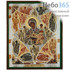  Икона на дереве 13х16, полиграфия, золотое и серебряное тиснение, в индивидуальной упаковке икона Божией Матери Неопалимая Купина, фото 1 