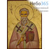  Икона на дереве B 3, 13х19, ручное золочение, без ковчега Александр, патриарх Александрийский, святитель, фото 1 