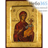  Икона на дереве B 4, 18х24, ручное золочение, с ковчегом икона Божией Матери Одигитрия (2318), фото 1 