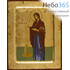  Икона на дереве B 4, 18х24, ручное золочение, с ковчегом икона Божией Матери Геронтисса (2715), фото 1 