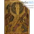  Икона на дереве B 5/S, 19х26, ручное золочение, многофигурная Преображение Господне (2365), фото 1 